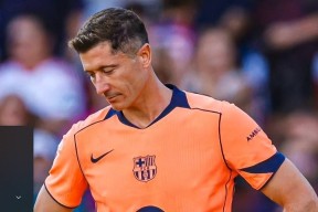 NG娱乐-莱万多夫斯基新星大胜表现惊艳，公牛未来可期！的简单介绍