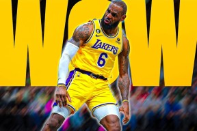 南宫28-包含詹姆斯回归赛场，突破纪录首场状态亮眼，法国队观众沸腾！的词条